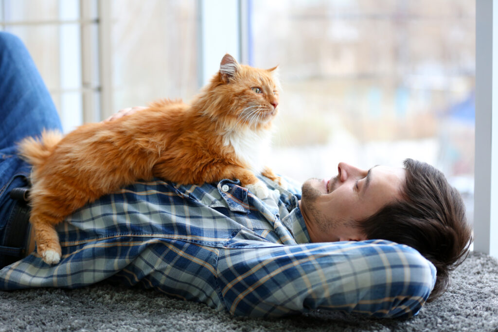 do cats wait for their owners?