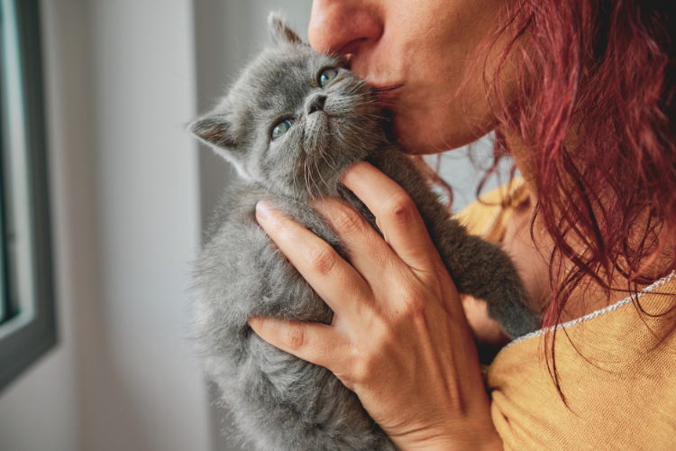 is it normal for a cat to like kisses?