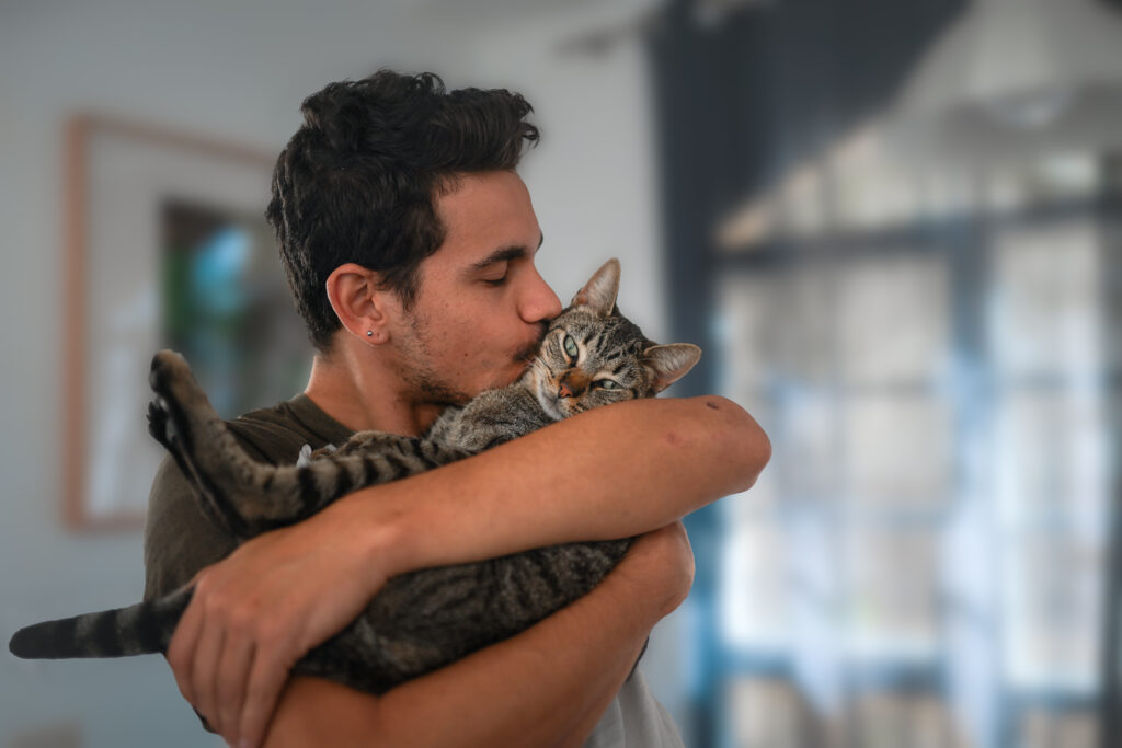 do cats understand kisses?